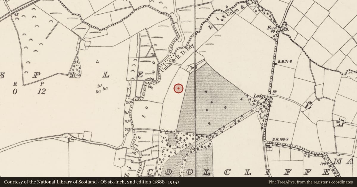 Ordnance Survey six-inch map, 2nd edition (1888–1915) covering the location of Settlement cluster, Coolcliffe, County Wexford, with a pin at the register's coordinates