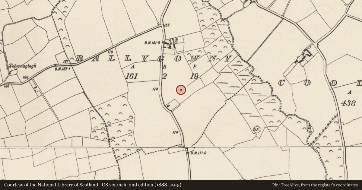 Ordnance Survey six-inch map, 2nd edition (1888–1915) covering the location of Concentric enclosure, Ballygowney, County Wexford, with a pin at the register's coordinates