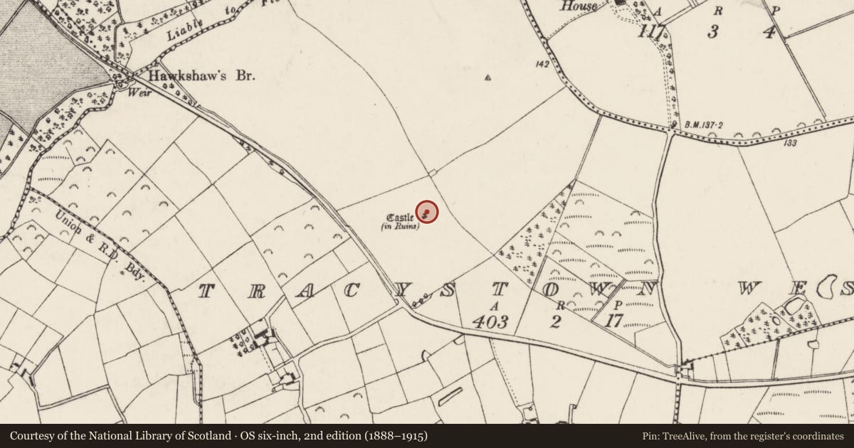 Ordnance Survey six-inch map, 2nd edition (1888–1915) covering the location of Castle - tower house, Tracystown West, County Wexford, with a pin at the register's coordinates