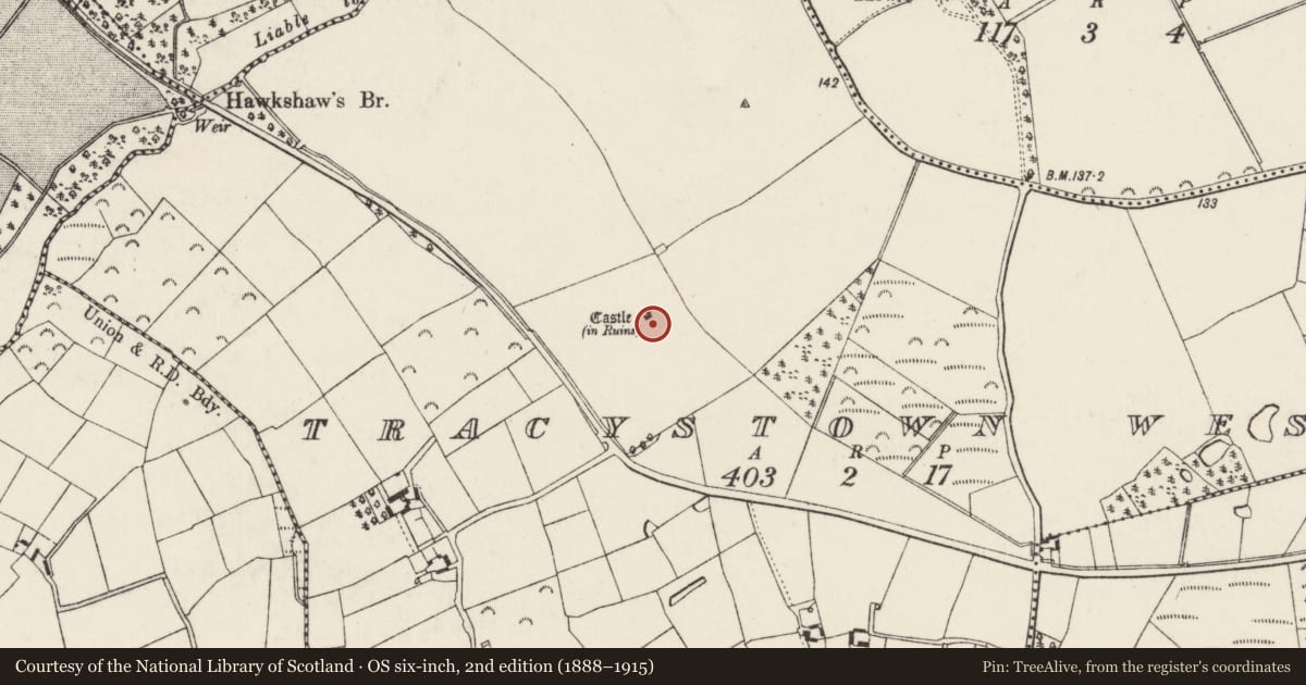 Ordnance Survey six-inch map, 2nd edition (1888–1915) covering the location of Bawn, Tracystown West, County Wexford, with a pin at the register's coordinates