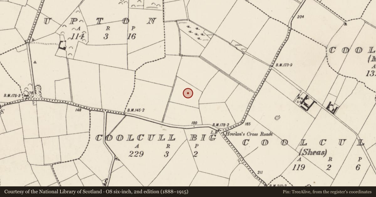 Ordnance Survey six-inch map, 2nd edition (1888–1915) covering the location of Enclosure, Coolcull Big, County Wexford, with a pin at the register's coordinates