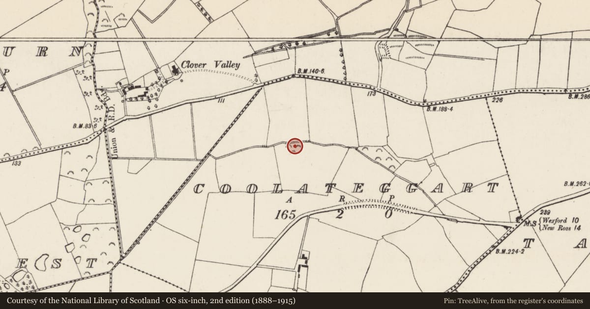 Ordnance Survey six-inch map, 2nd edition (1888–1915) covering the location of Moated site, Coolateggart, County Wexford, with a pin at the register's coordinates