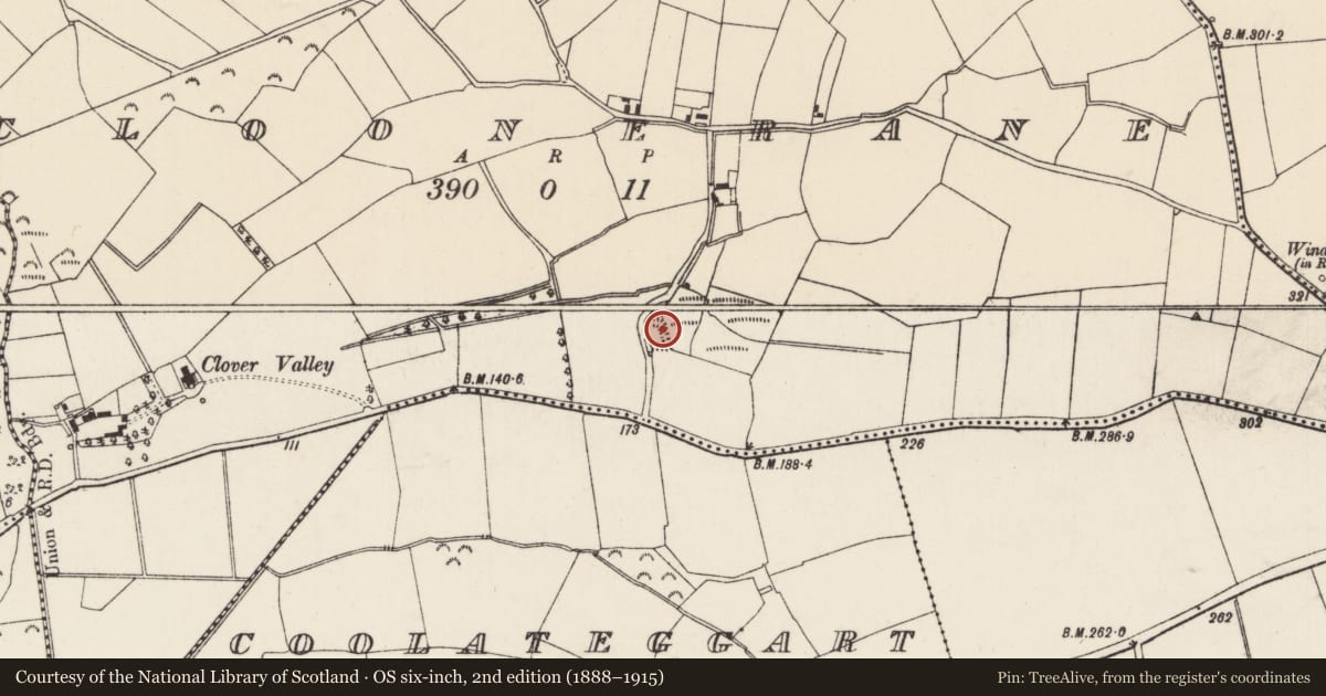 Ordnance Survey six-inch map, 2nd edition (1888–1915) covering the location of Moated site, Cloonerane, County Wexford, with a pin at the register's coordinates