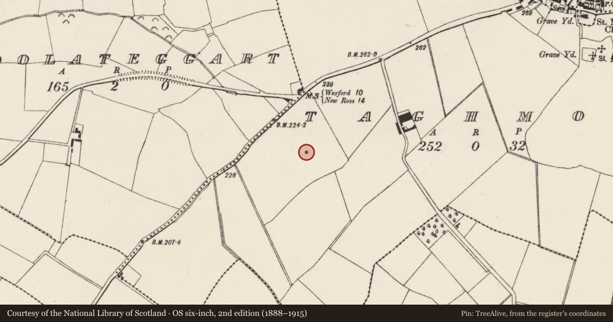 Ordnance Survey six-inch map, 2nd edition (1888–1915) covering the location of Ringfort - rath, Taghmon, County Wexford, with a pin at the register's coordinates