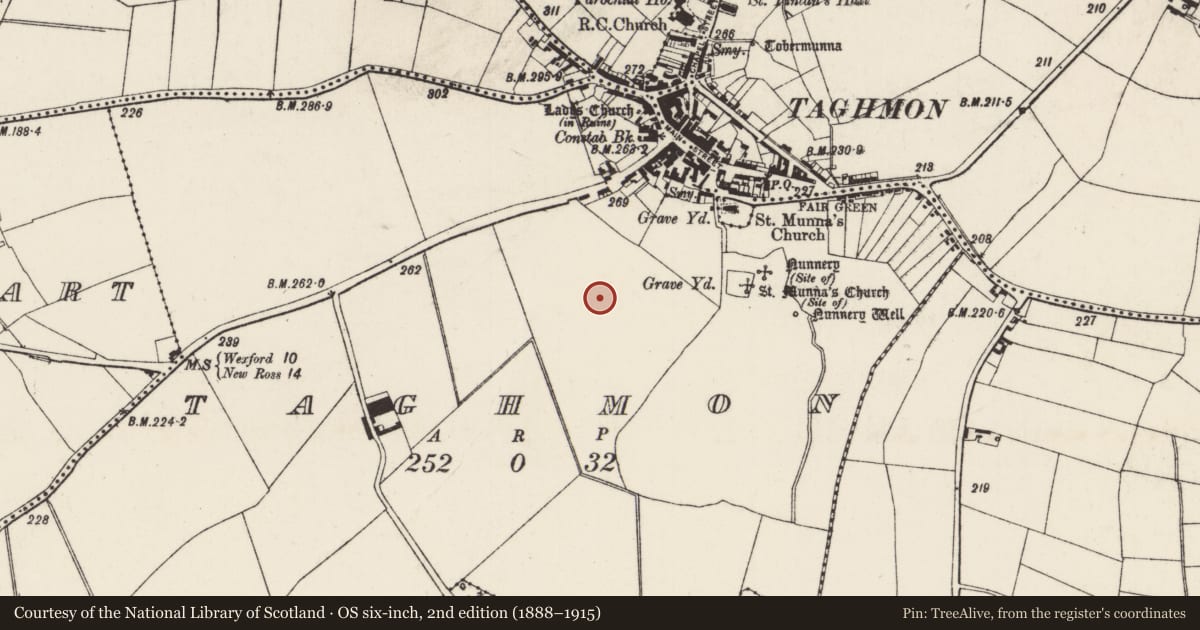 Ordnance Survey six-inch map, 2nd edition (1888–1915) covering the location of Field system, Taghmon, County Wexford, with a pin at the register's coordinates
