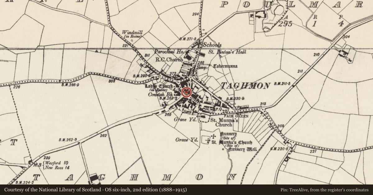 Ordnance Survey six-inch map, 2nd edition (1888–1915) covering the location of Historic town, County Wexford, with a pin at the register's coordinates