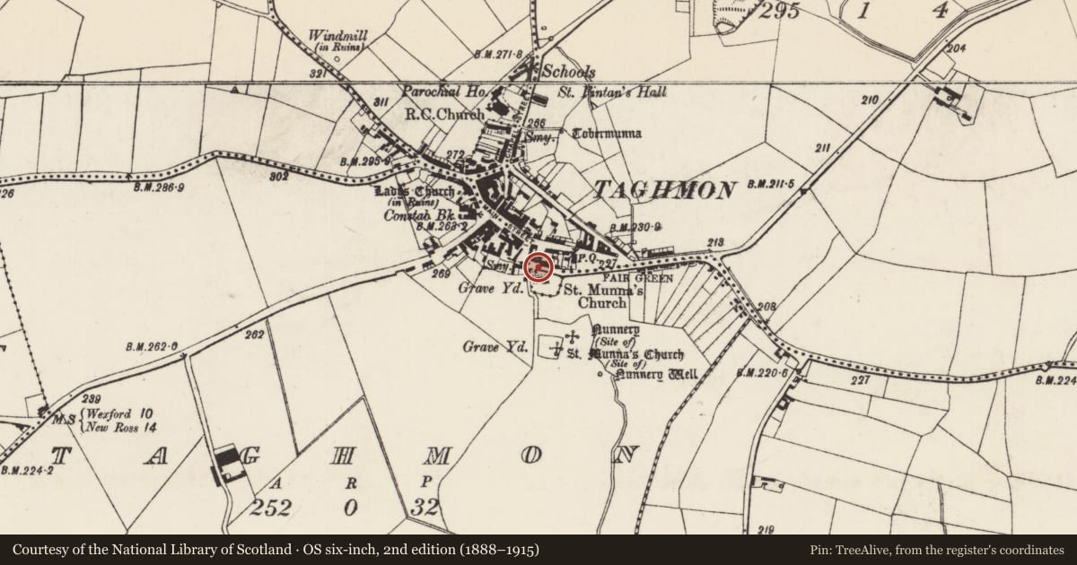 Ordnance Survey six-inch map, 2nd edition (1888–1915) covering the location of Cross - High cross, Poulmarl, County Wexford, with a pin at the register's coordinates