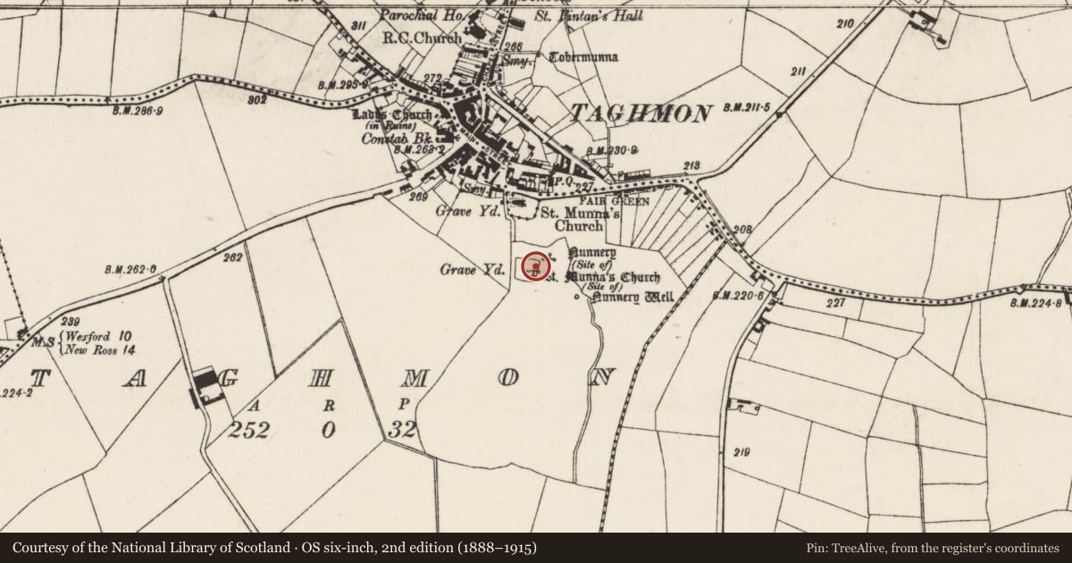 Ordnance Survey six-inch map, 2nd edition (1888–1915) covering the location of Church, Taghmon, County Wexford, with a pin at the register's coordinates