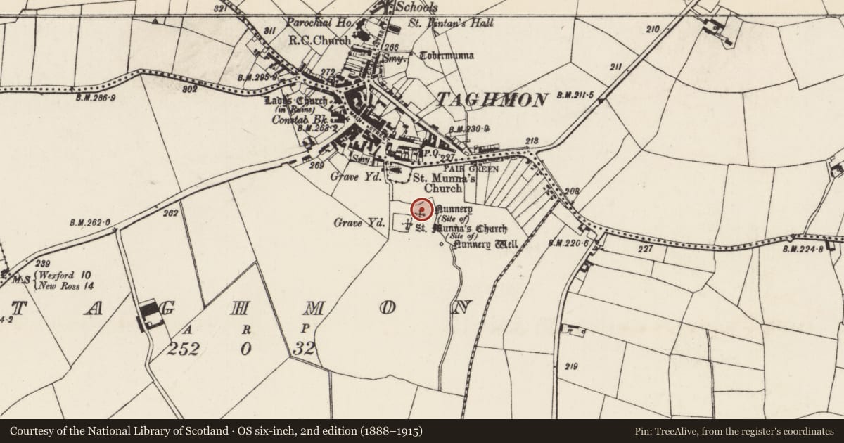 Ordnance Survey six-inch map, 2nd edition (1888–1915) covering the location of Religious house - Augustinian, of Arrouaise nuns, Taghmon, County Wexford, with a pin at the register's coordinates