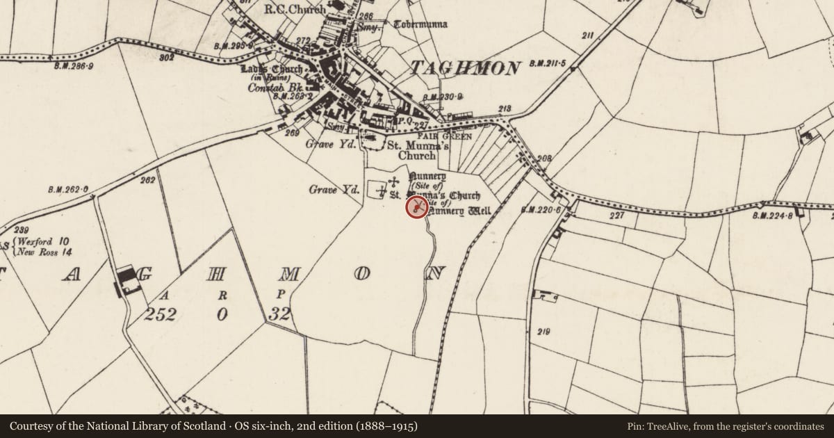 Ordnance Survey six-inch map, 2nd edition (1888–1915) covering the location of Ritual site - holy well, Taghmon, County Wexford, with a pin at the register's coordinates