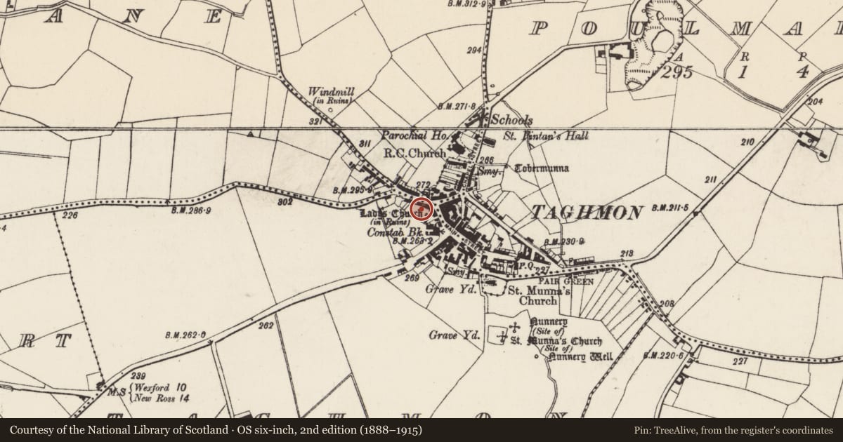 Ordnance Survey six-inch map, 2nd edition (1888–1915) covering the location of Graveyard, Taghmon, County Wexford, with a pin at the register's coordinates