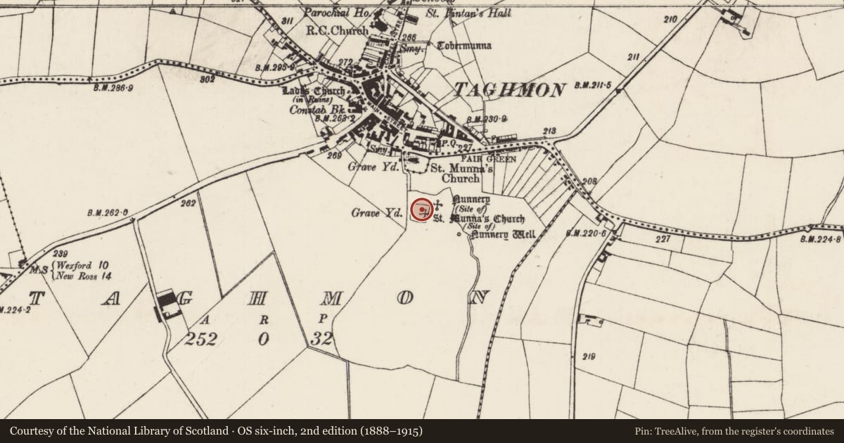 Ordnance Survey six-inch map, 2nd edition (1888–1915) covering the location of Cross, Taghmon, County Wexford, with a pin at the register's coordinates
