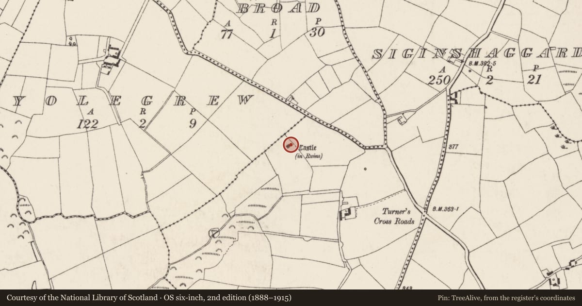 Ordnance Survey six-inch map, 2nd edition (1888–1915) covering the location of Castle - tower house, Siginshaggard, County Wexford, with a pin at the register's coordinates