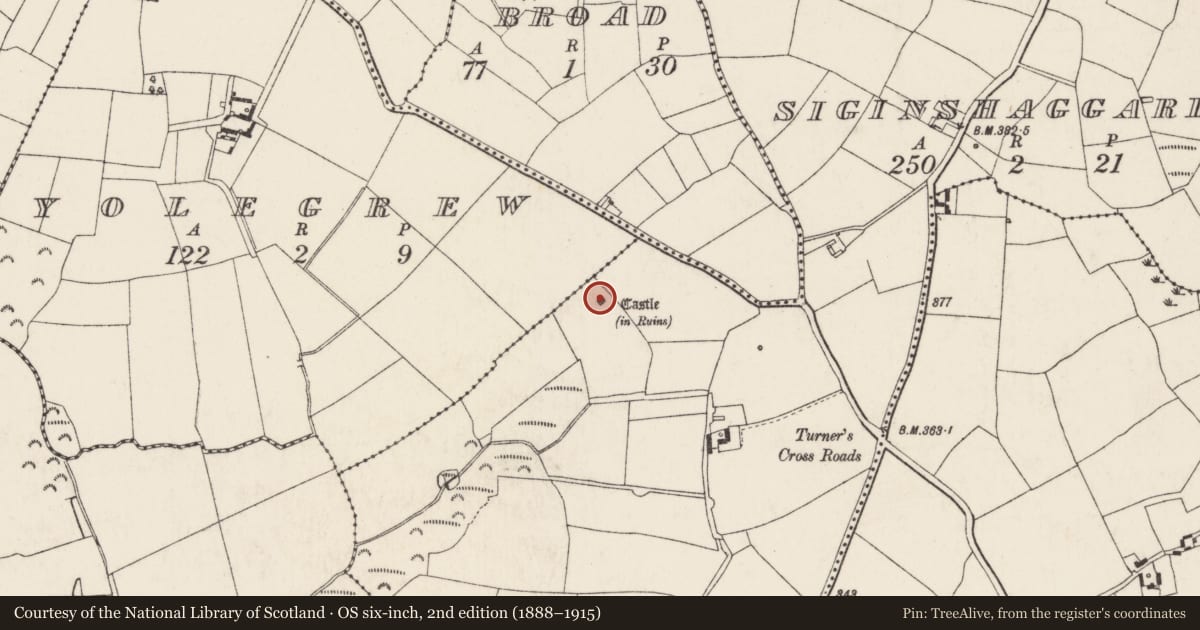 Ordnance Survey six-inch map, 2nd edition (1888–1915) covering the location of Bawn, Siginshaggard, County Wexford, with a pin at the register's coordinates