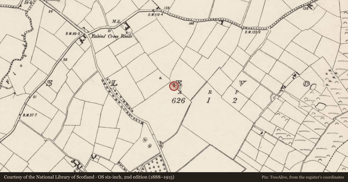 Ordnance Survey six-inch map, 2nd edition (1888–1915) covering the location of Ringfort - rath, Slevoy, County Wexford, with a pin at the register's coordinates