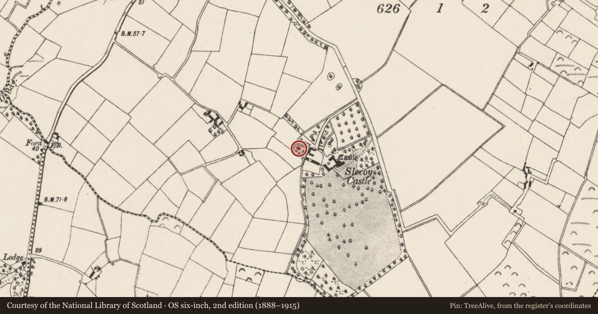 Ordnance Survey six-inch map, 2nd edition (1888–1915) covering the location of Hut site, Slevoy, County Wexford, with a pin at the register's coordinates