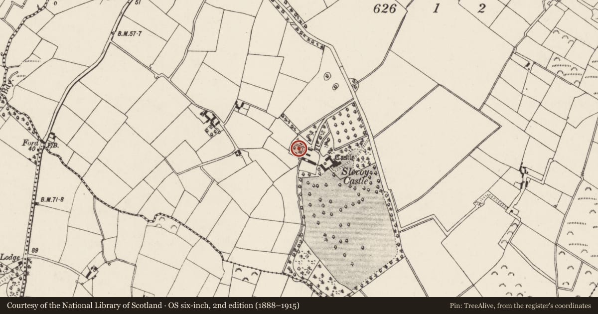 Ordnance Survey six-inch map, 2nd edition (1888–1915) covering the location of House - indeterminate date, Slevoy, County Wexford, with a pin at the register's coordinates
