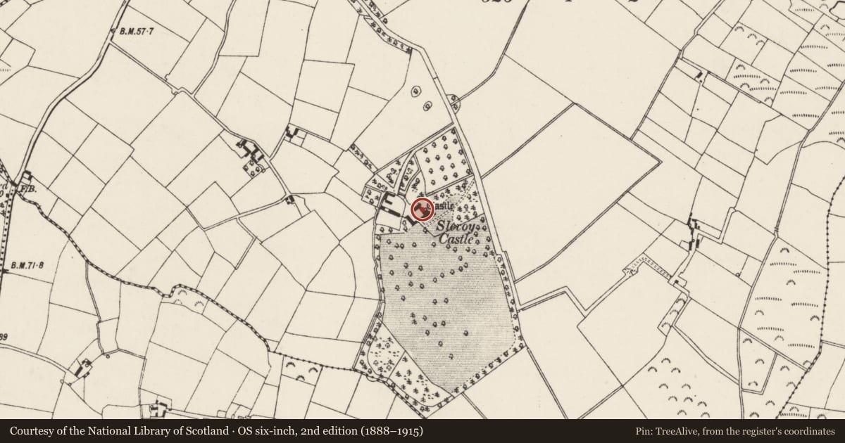Ordnance Survey six-inch map, 2nd edition (1888–1915) covering the location of Castle - tower house, Slevoy, County Wexford, with a pin at the register's coordinates