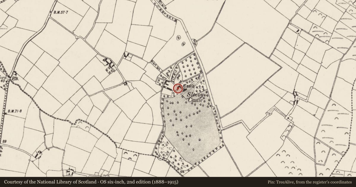 Ordnance Survey six-inch map, 2nd edition (1888–1915) covering the location of Bawn, Slevoy, County Wexford, with a pin at the register's coordinates
