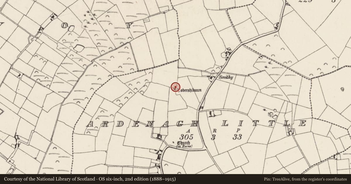 Ordnance Survey six-inch map, 2nd edition (1888–1915) covering the location of Ritual site - holy well, Ardenagh Little, County Wexford, with a pin at the register's coordinates