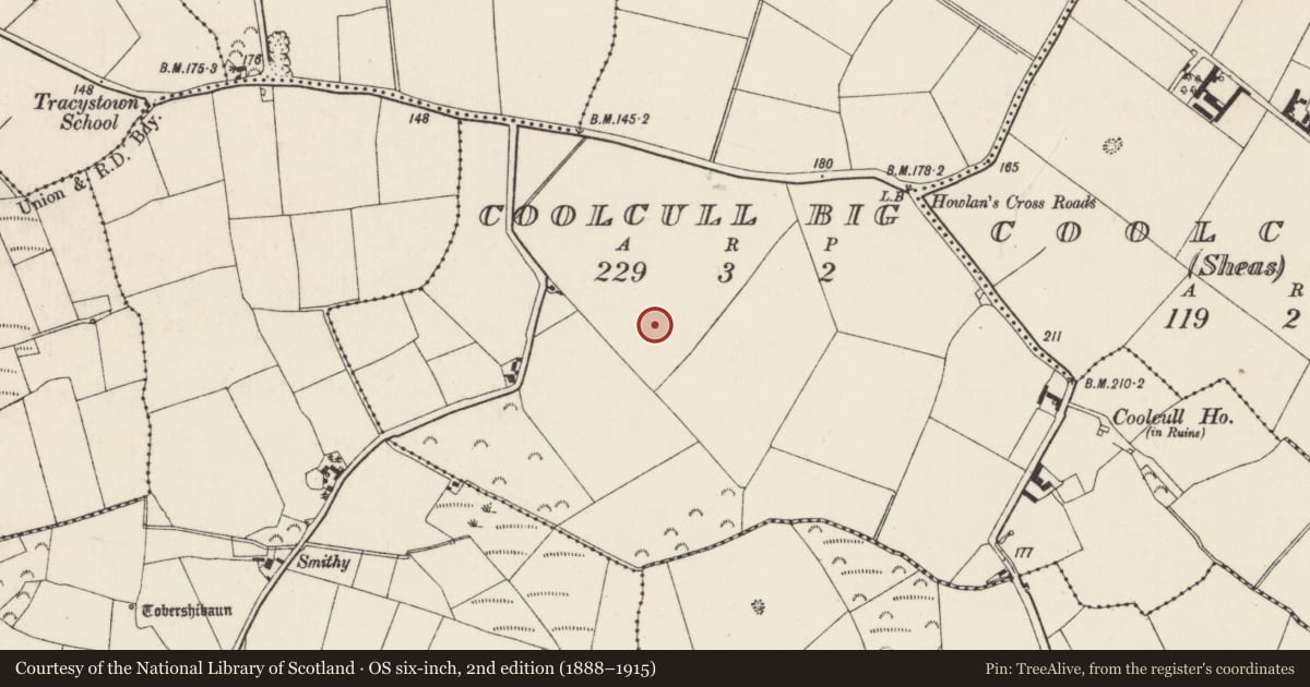 Ordnance Survey six-inch map, 2nd edition (1888–1915) covering the location of Ring-ditch, Coolcull Big, County Wexford, with a pin at the register's coordinates