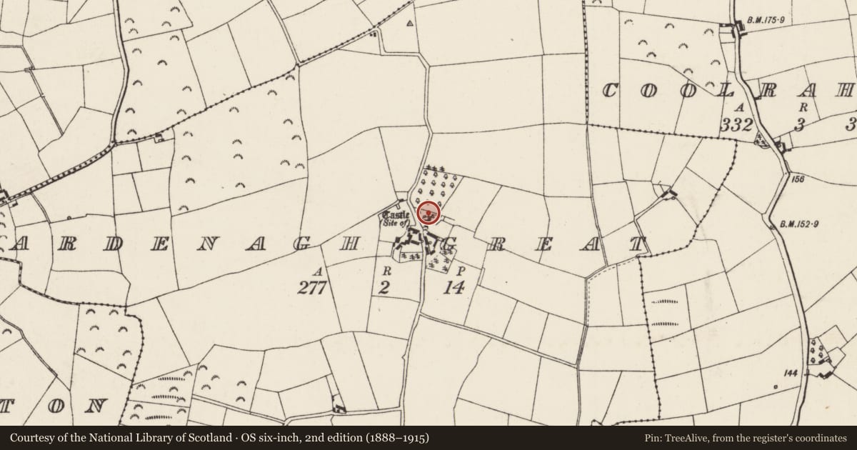 Ordnance Survey six-inch map, 2nd edition (1888–1915) covering the location of Castle - unclassified, Ardenagh Great, County Wexford, with a pin at the register's coordinates