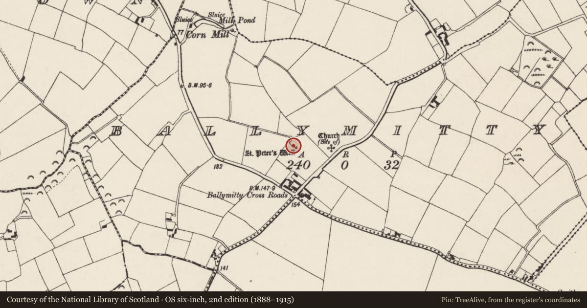 Ordnance Survey six-inch map, 2nd edition (1888–1915) covering the location of Ritual site - holy well, Ballymitty, County Wexford, with a pin at the register's coordinates