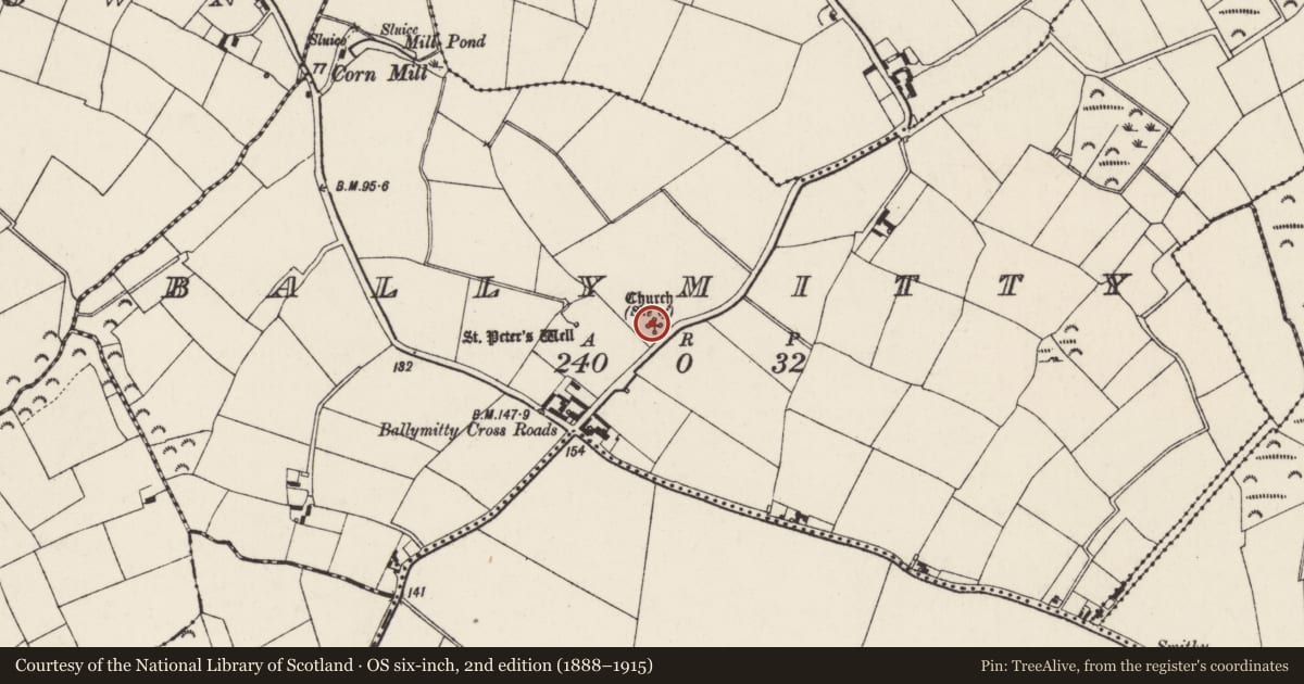 Ordnance Survey six-inch map, 2nd edition (1888–1915) covering the location of Architectural fragment, Ballymitty, County Wexford, with a pin at the register's coordinates