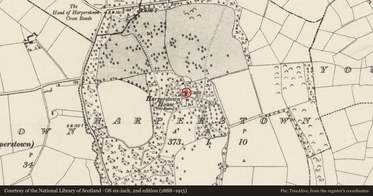 Ordnance Survey six-inch map, 2nd edition (1888–1915) covering the location of Castle - unclassified, Harperstown, County Wexford, with a pin at the register's coordinates