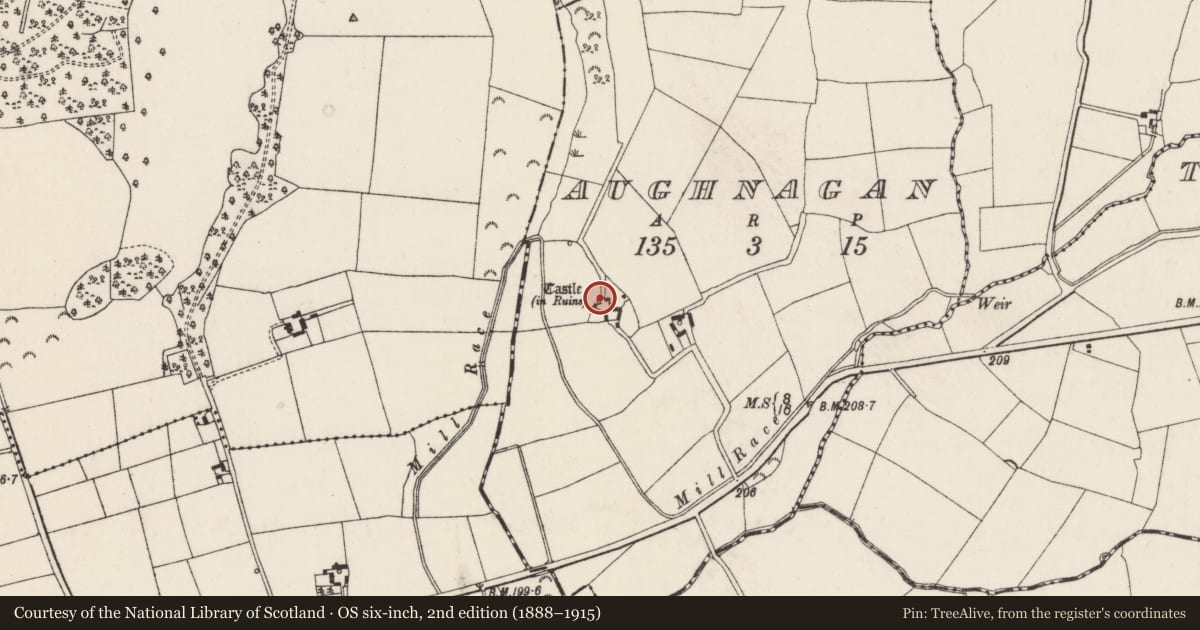 Ordnance Survey six-inch map, 2nd edition (1888–1915) covering the location of Castle - tower house, Aughnagan, County Wexford, with a pin at the register's coordinates