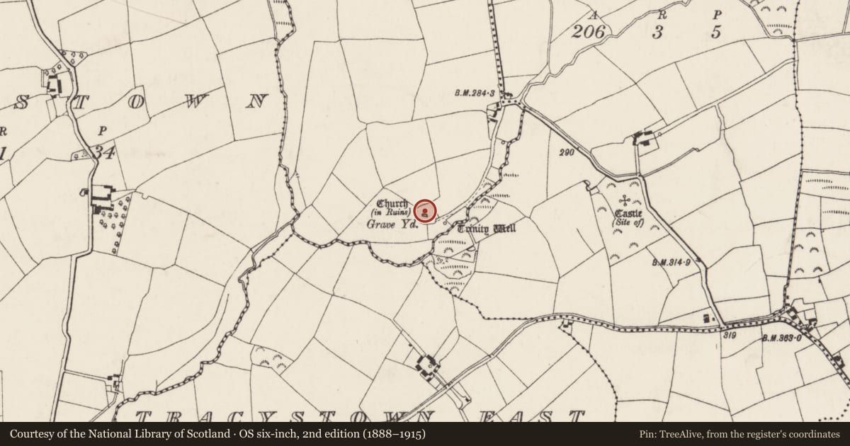 Ordnance Survey six-inch map, 2nd edition (1888–1915) covering the location of Graveyard, Tincurra, County Wexford, with a pin at the register's coordinates