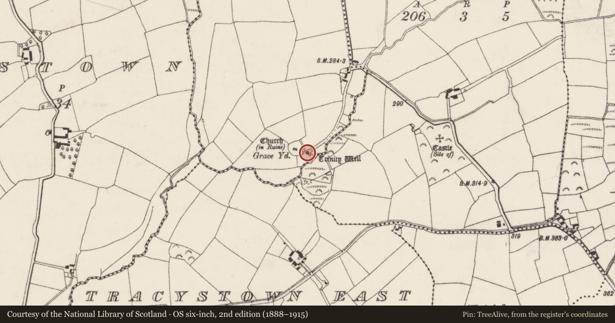 Ordnance Survey six-inch map, 2nd edition (1888–1915) covering the location of Ritual site - holy well, Tincurra, County Wexford, with a pin at the register's coordinates