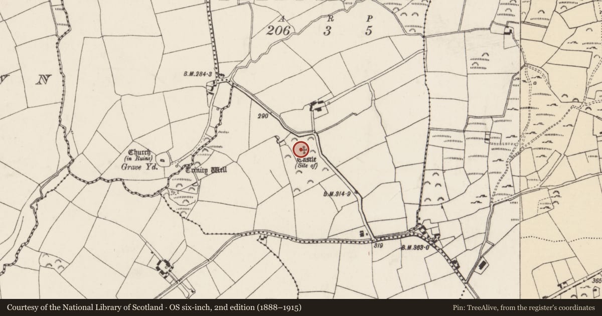 Ordnance Survey six-inch map, 2nd edition (1888–1915) covering the location of Castle - unclassified, Ballyshelin, County Wexford, with a pin at the register's coordinates