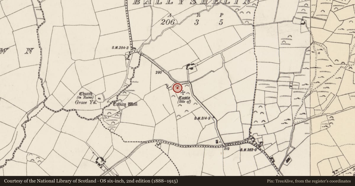 Ordnance Survey six-inch map, 2nd edition (1888–1915) covering the location of Road - hollow-way, Ballyshelin, County Wexford, with a pin at the register's coordinates