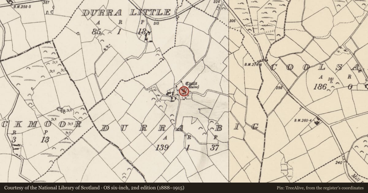 Ordnance Survey six-inch map, 2nd edition (1888–1915) covering the location of Castle - unclassified, Durra Big, County Wexford, with a pin at the register's coordinates