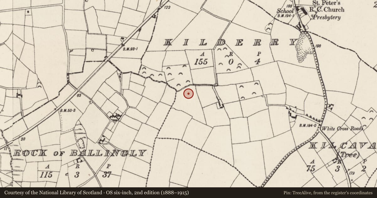 Ordnance Survey six-inch map, 2nd edition (1888–1915) covering the location of Church, Kilderry, County Wexford, with a pin at the register's coordinates