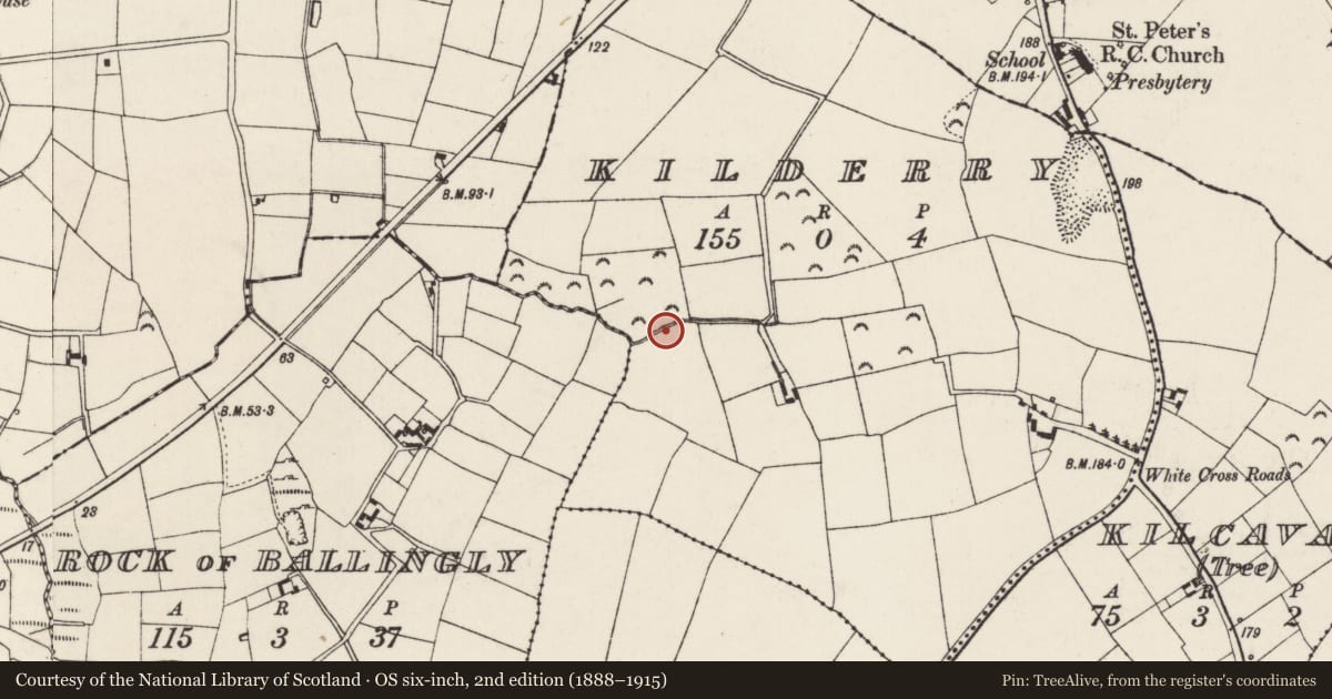 Ordnance Survey six-inch map, 2nd edition (1888–1915) covering the location of Ritual site - holy well, Kilderry, County Wexford, with a pin at the register's coordinates