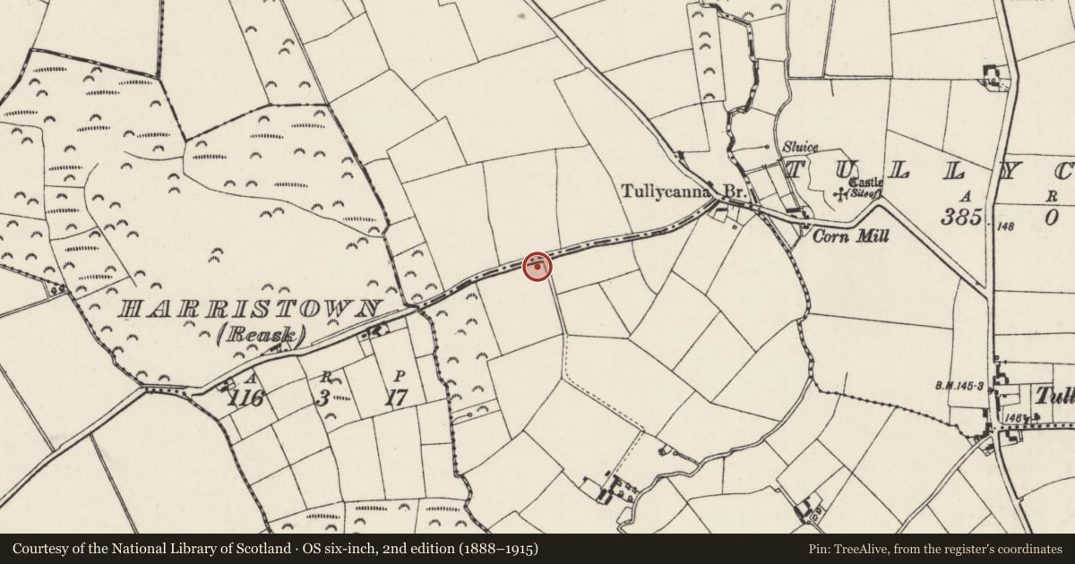 Ordnance Survey six-inch map, 2nd edition (1888–1915) covering the location of Church, Knockbine, County Wexford, with a pin at the register's coordinates
