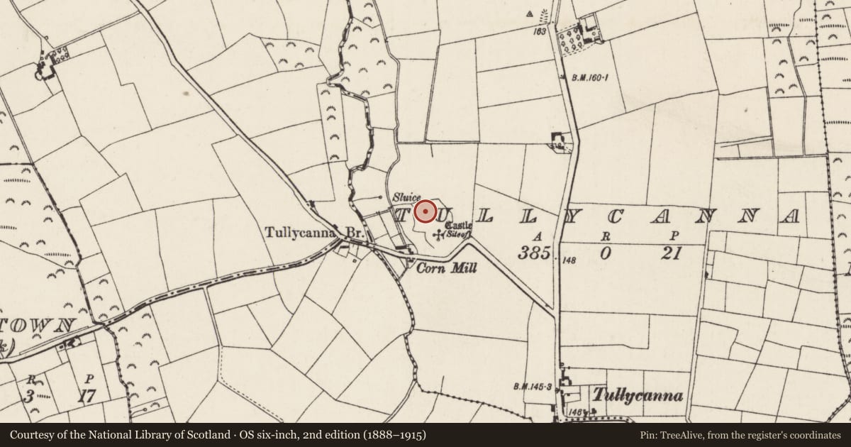 Ordnance Survey six-inch map, 2nd edition (1888–1915) covering the location of Moated site, Tullycanna, County Wexford, with a pin at the register's coordinates