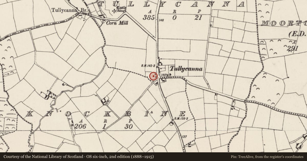 Ordnance Survey six-inch map, 2nd edition (1888–1915) covering the location of Church, Tullycanna, County Wexford, with a pin at the register's coordinates