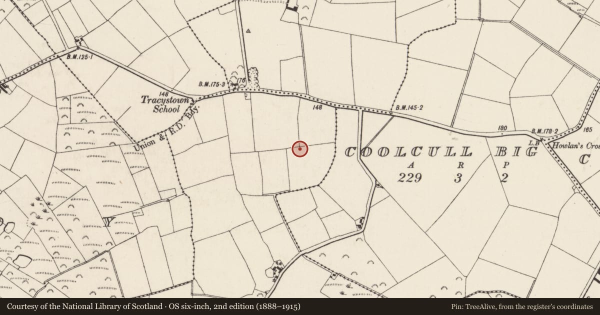 Ordnance Survey six-inch map, 2nd edition (1888–1915) covering the location of Ring-ditch, Ardenagh Little, County Wexford, with a pin at the register's coordinates