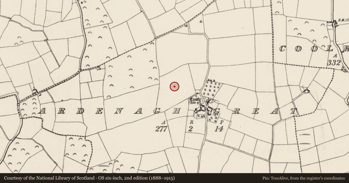 Ordnance Survey six-inch map, 2nd edition (1888–1915) covering the location of Enclosure, Ardenagh Great, County Wexford, with a pin at the register's coordinates
