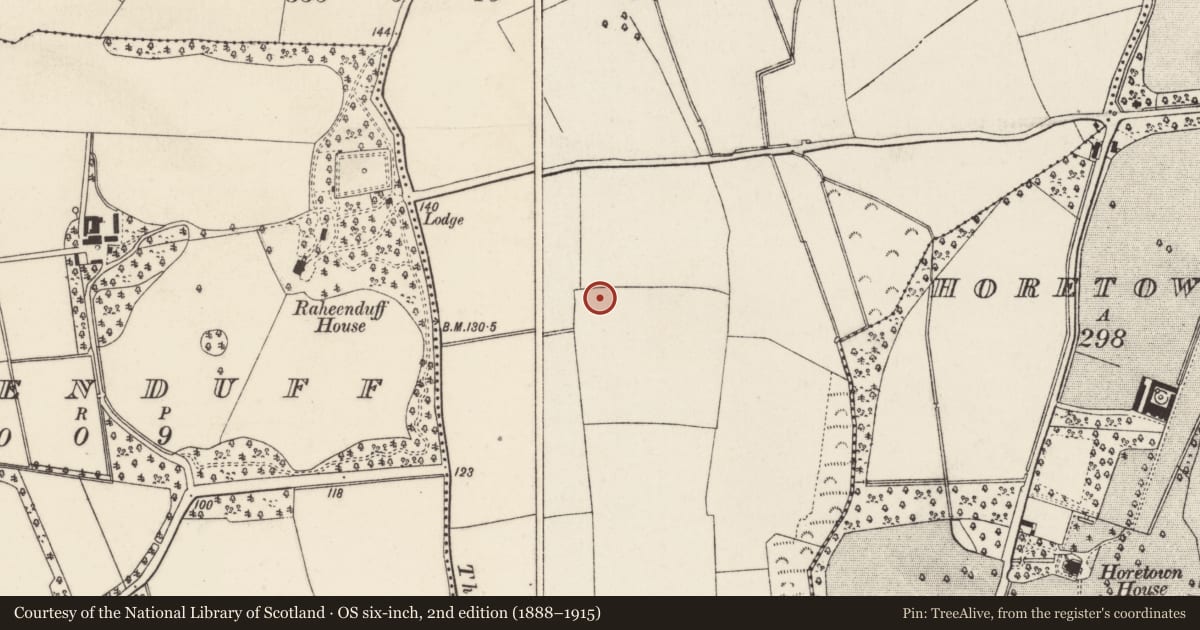 Ordnance Survey six-inch map, 2nd edition (1888–1915) covering the location of Enclosure - large enclosure, Horetown North, County Wexford, with a pin at the register's coordinates