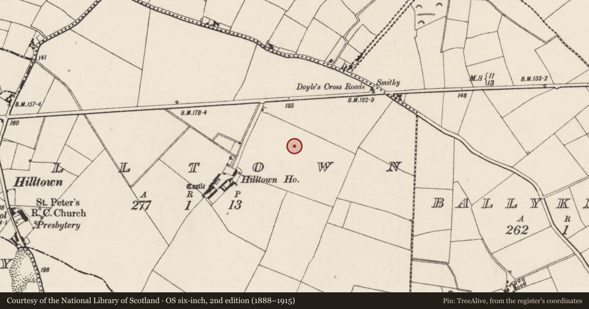 Ordnance Survey six-inch map, 2nd edition (1888–1915) covering the location of Ringfort - rath, Hilltown, County Wexford, with a pin at the register's coordinates