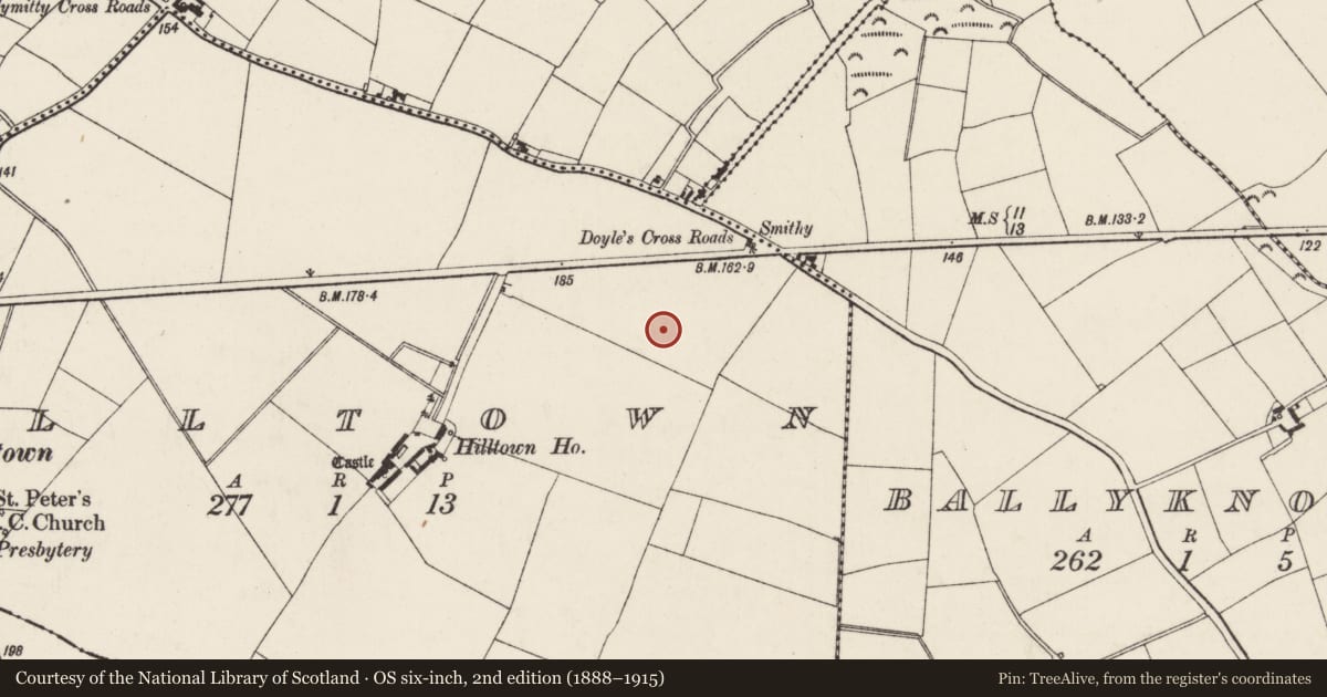 Ordnance Survey six-inch map, 2nd edition (1888–1915) covering the location of Ringfort - rath, Hilltown, County Wexford, with a pin at the register's coordinates