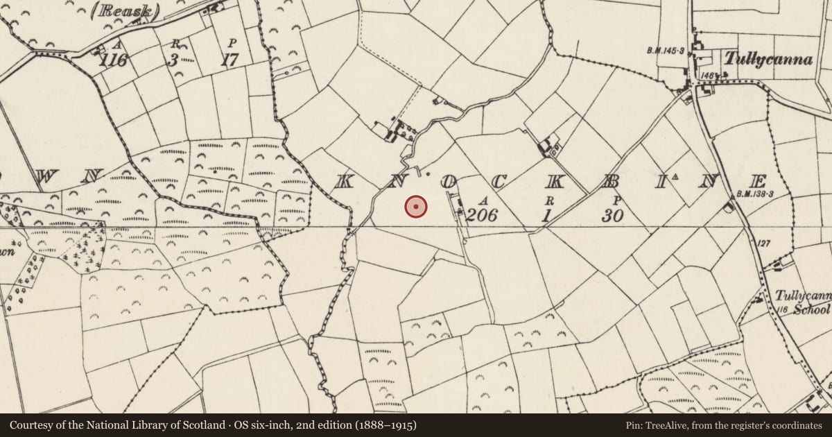 Ordnance Survey six-inch map, 2nd edition (1888–1915) covering the location of Moated site, Knockbine, County Wexford, with a pin at the register's coordinates