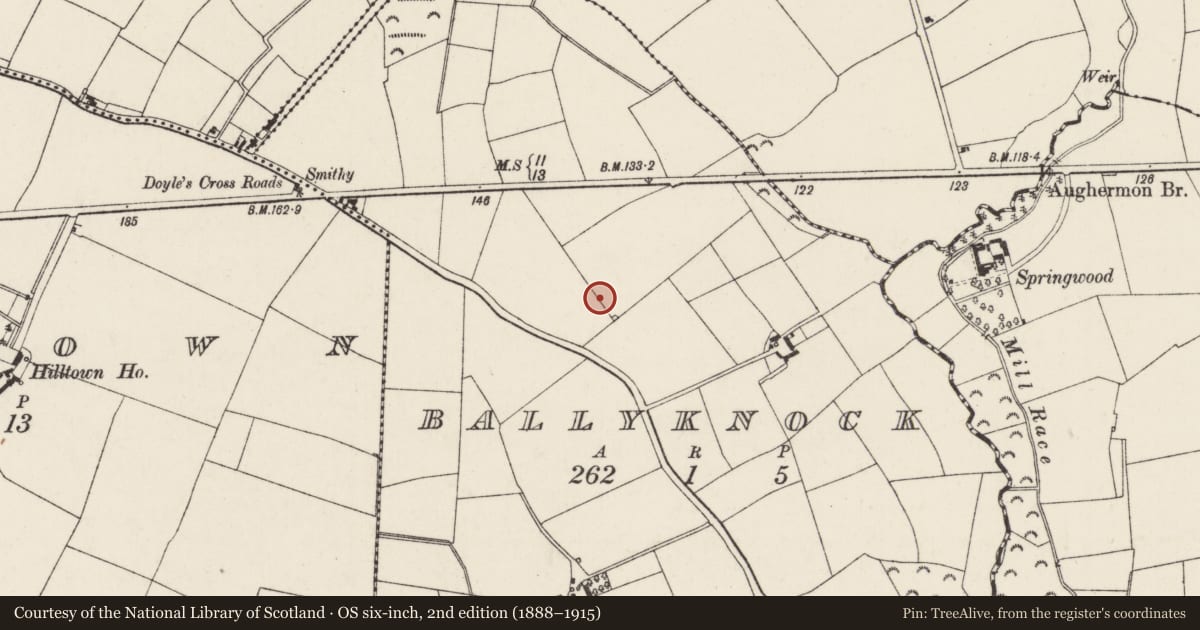 Ordnance Survey six-inch map, 2nd edition (1888–1915) covering the location of Ringfort - rath, Ballyknock, County Wexford, with a pin at the register's coordinates