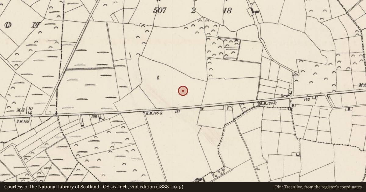 Ordnance Survey six-inch map, 2nd edition (1888–1915) covering the location of Ringfort - rath, Rochestown, County Wexford, with a pin at the register's coordinates