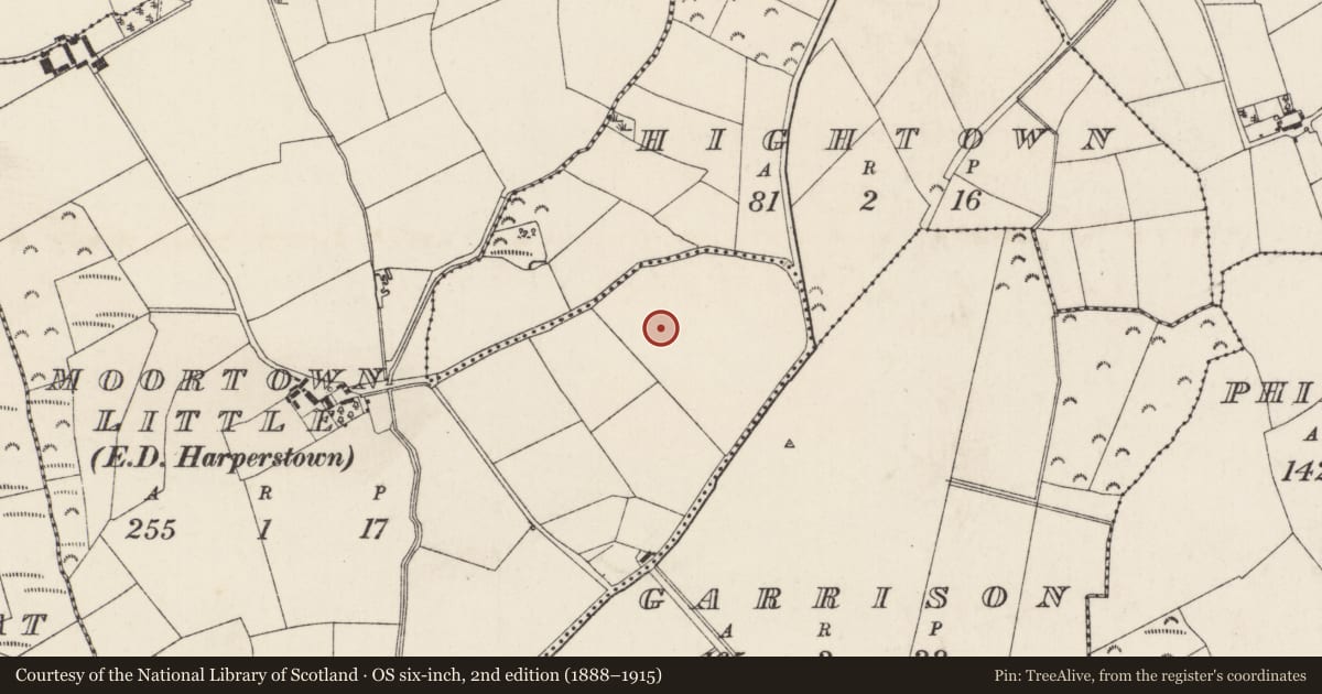 Ordnance Survey six-inch map, 2nd edition (1888–1915) covering the location of Ringfort - rath, Moortown Little, County Wexford, with a pin at the register's coordinates
