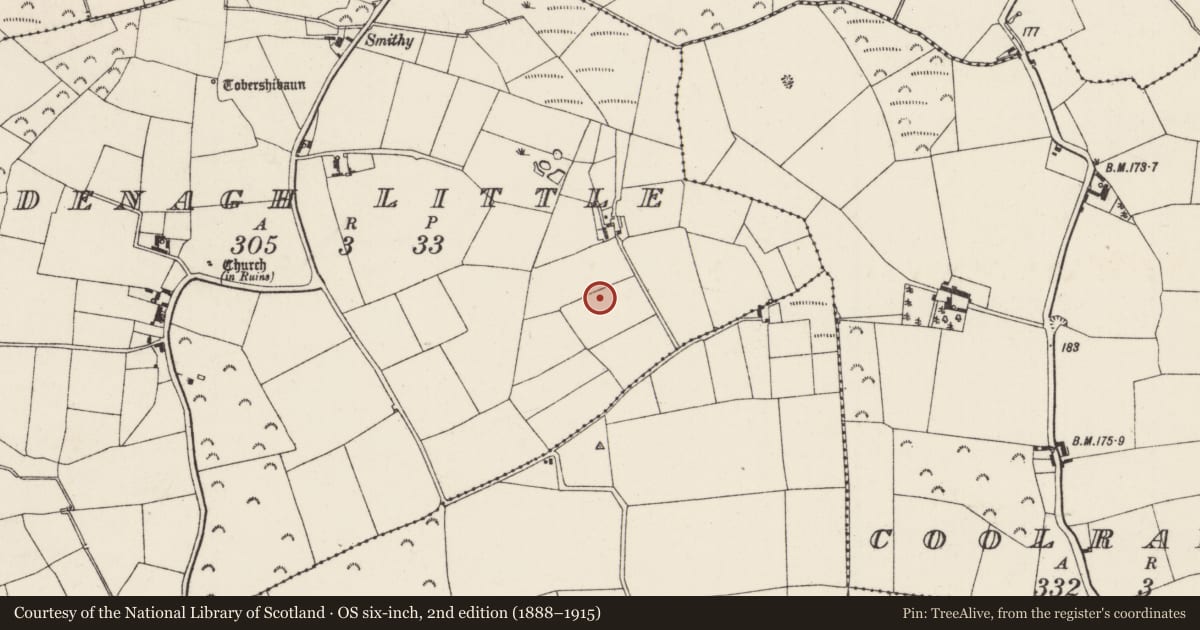 Ordnance Survey six-inch map, 2nd edition (1888–1915) covering the location of Ringfort - rath, Ardenagh Little, County Wexford, with a pin at the register's coordinates